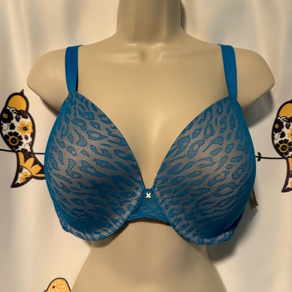 Frederick’s of Hollywood 36F Untamable Bra Bundle of 2 Blue Red Lace Plunge - Picture 2 of 12